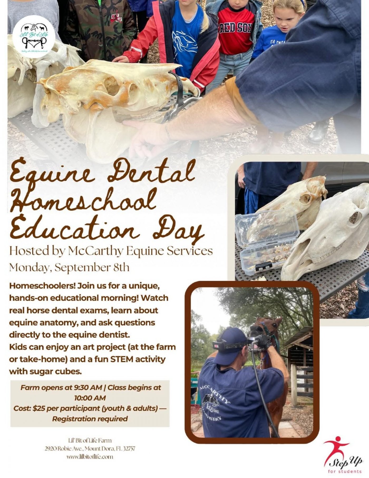 Homeschool Equine Dental Learning Day