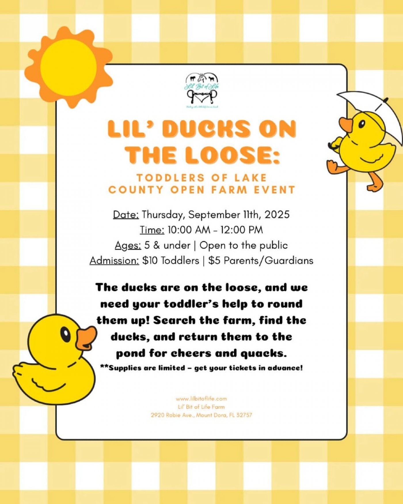 Lil Ducks on the Loose