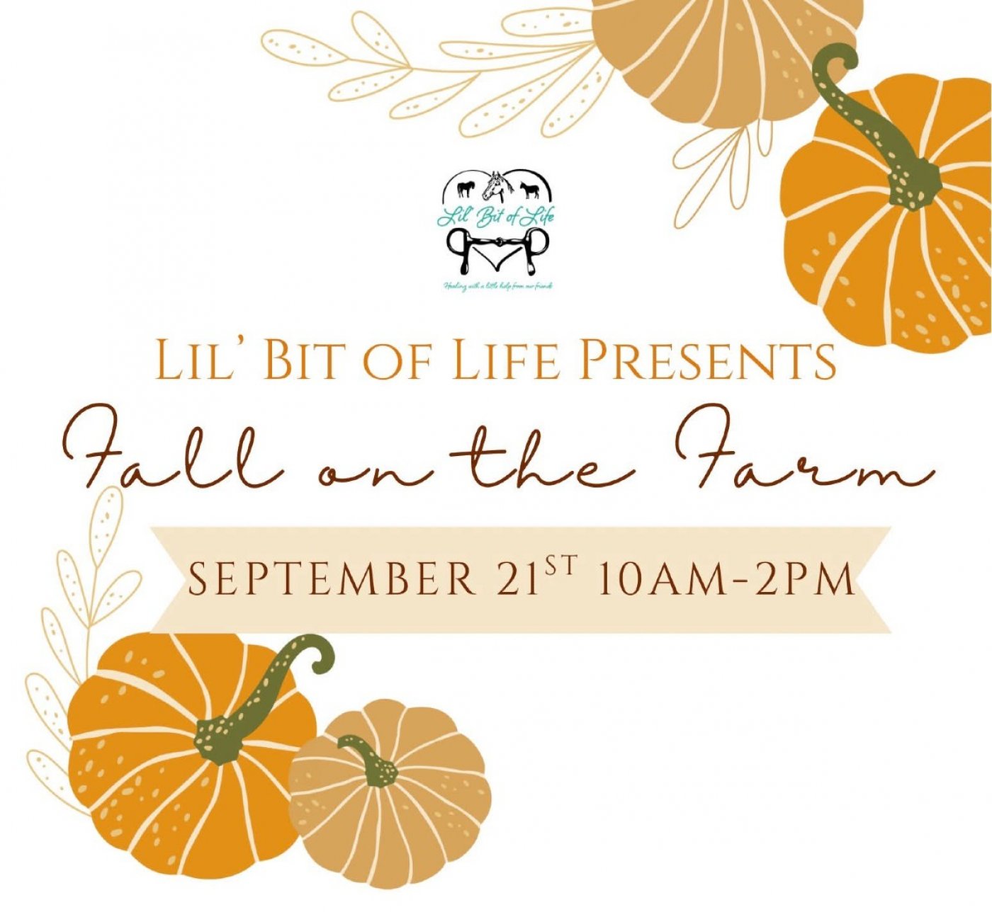 Fall on the Farm
