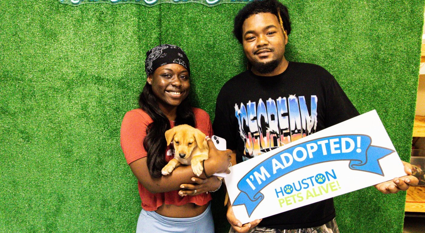 Puppy Palooza: Puppy Adoption Event!