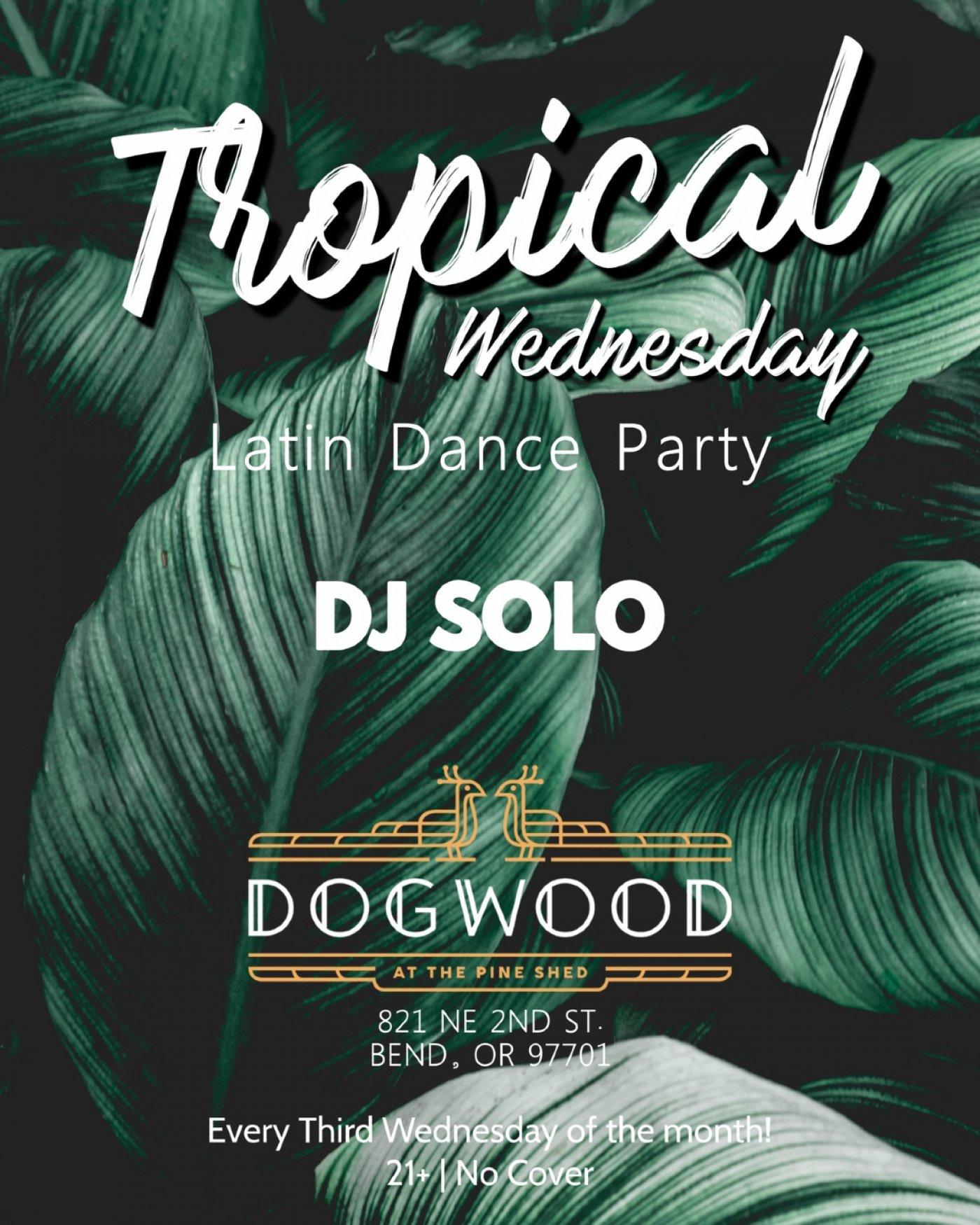Tropical Latin Dance Party @ Dogwood