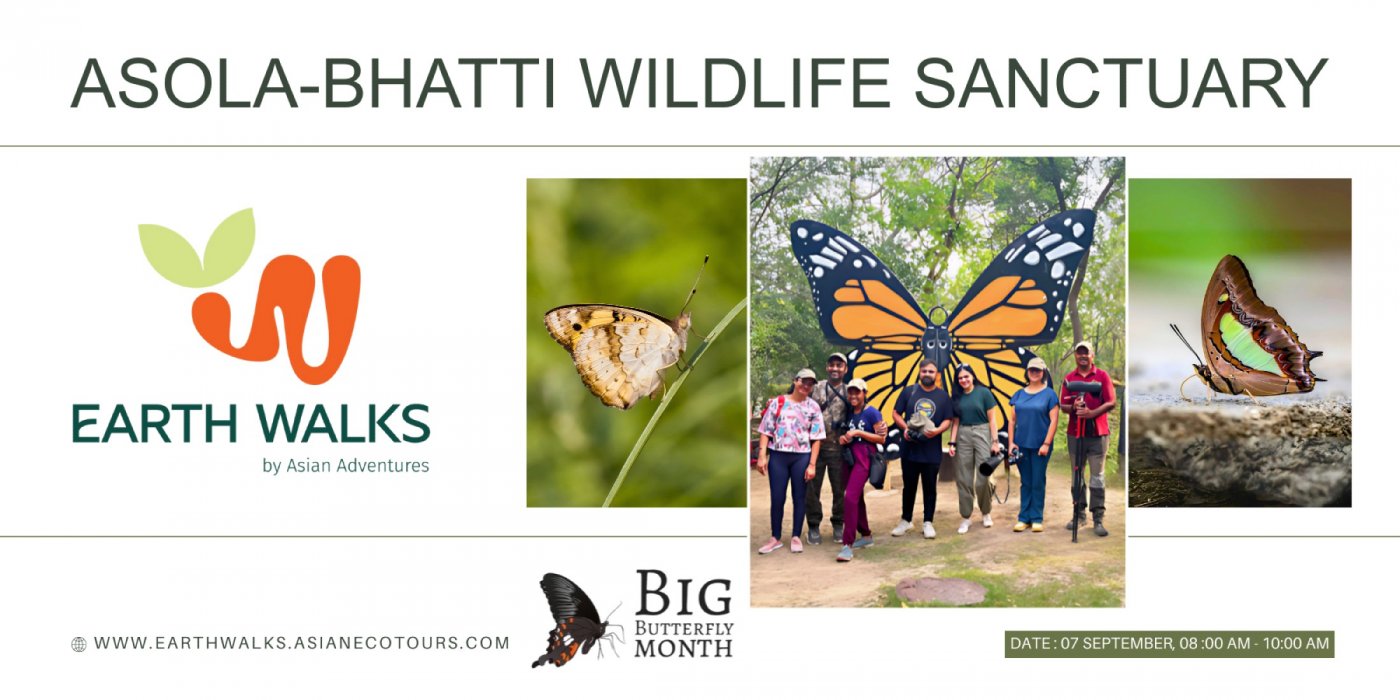 Season of Flight: Butterfly Walk