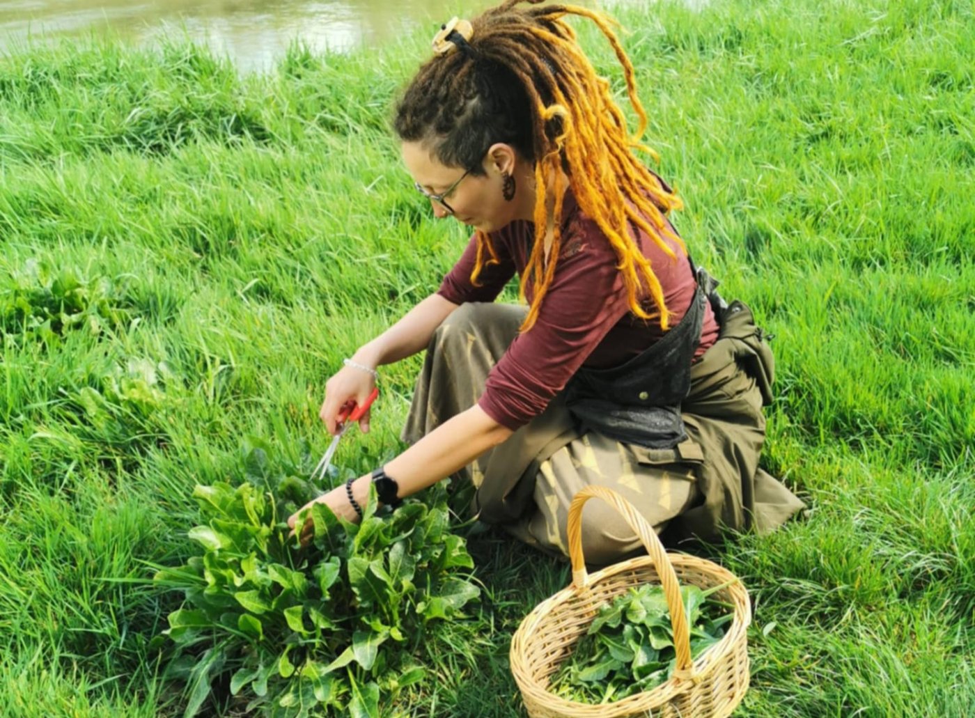 Barnstaple Riverside Foraging Workshop