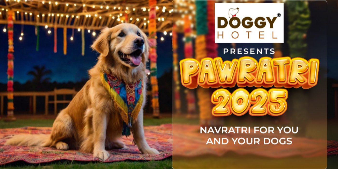 Pawratri 2025 - Navratri For You & Your Dogs