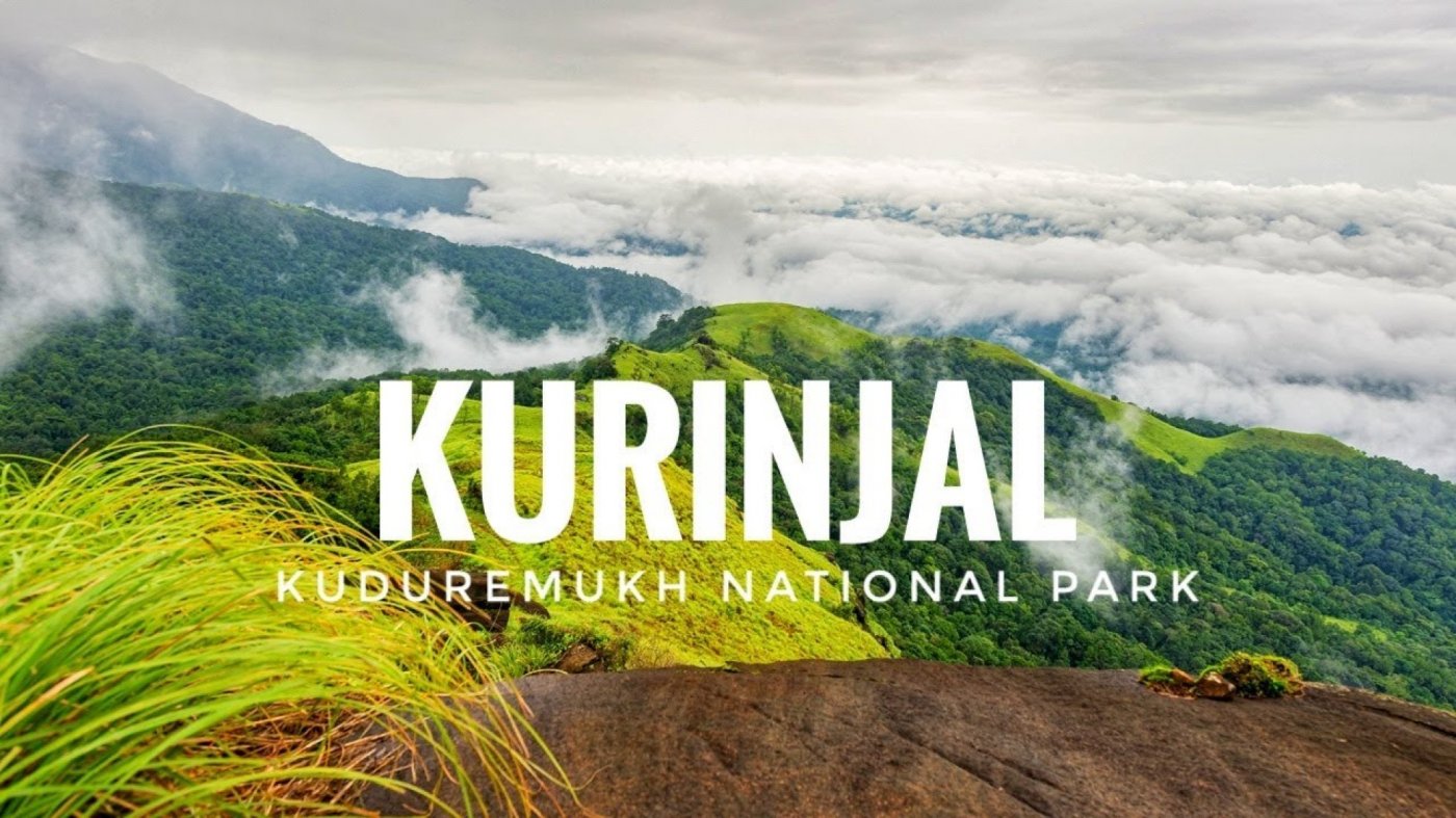 KURINJAL TREK - MY HIKES
