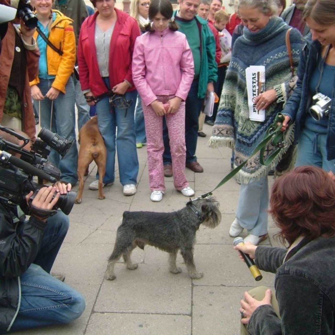 Talk & Video Screenings: The Camera as Tool of Intervention