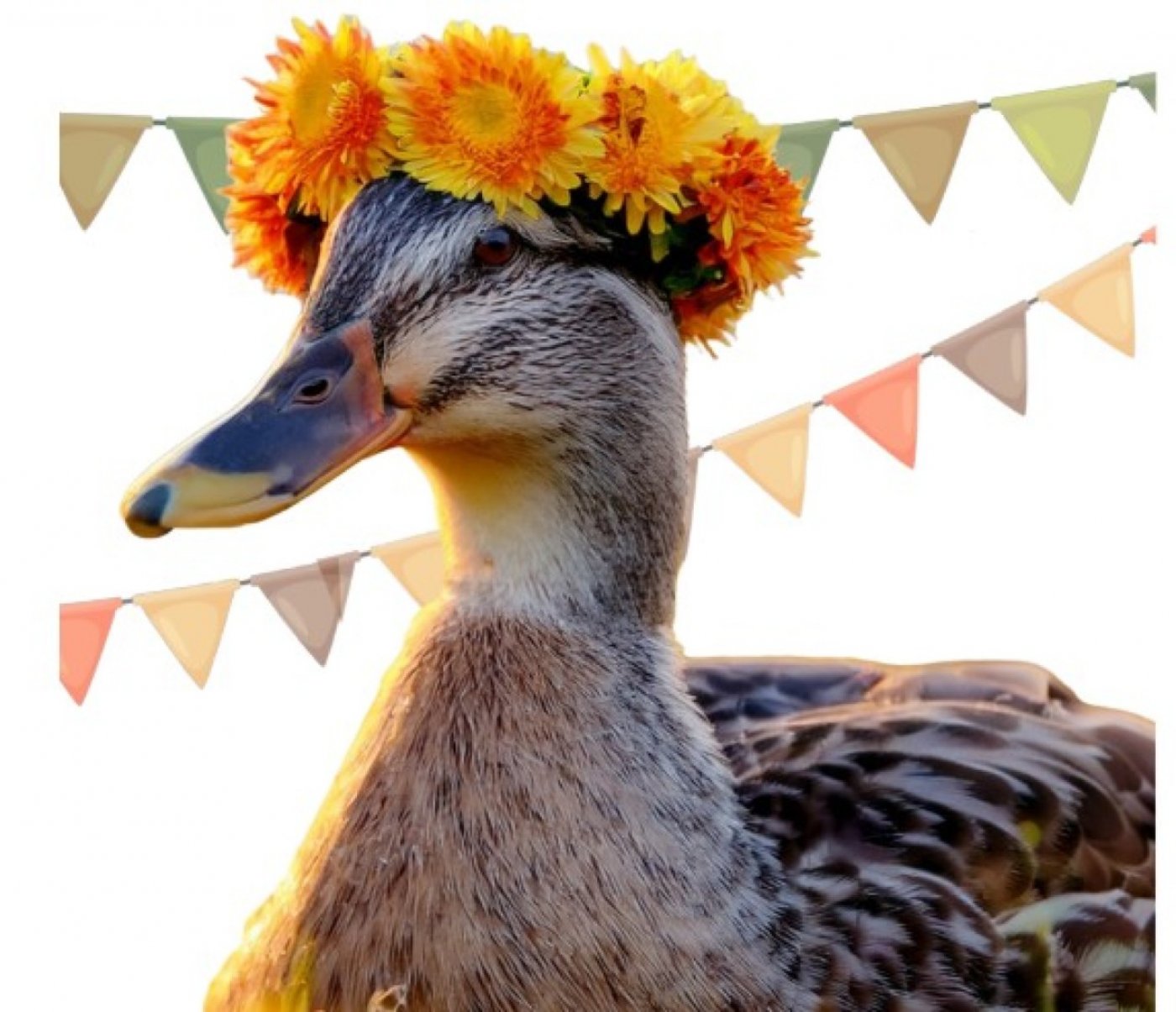 Ducks Unlimited Canada Edmonton Annual Dinner & Auction