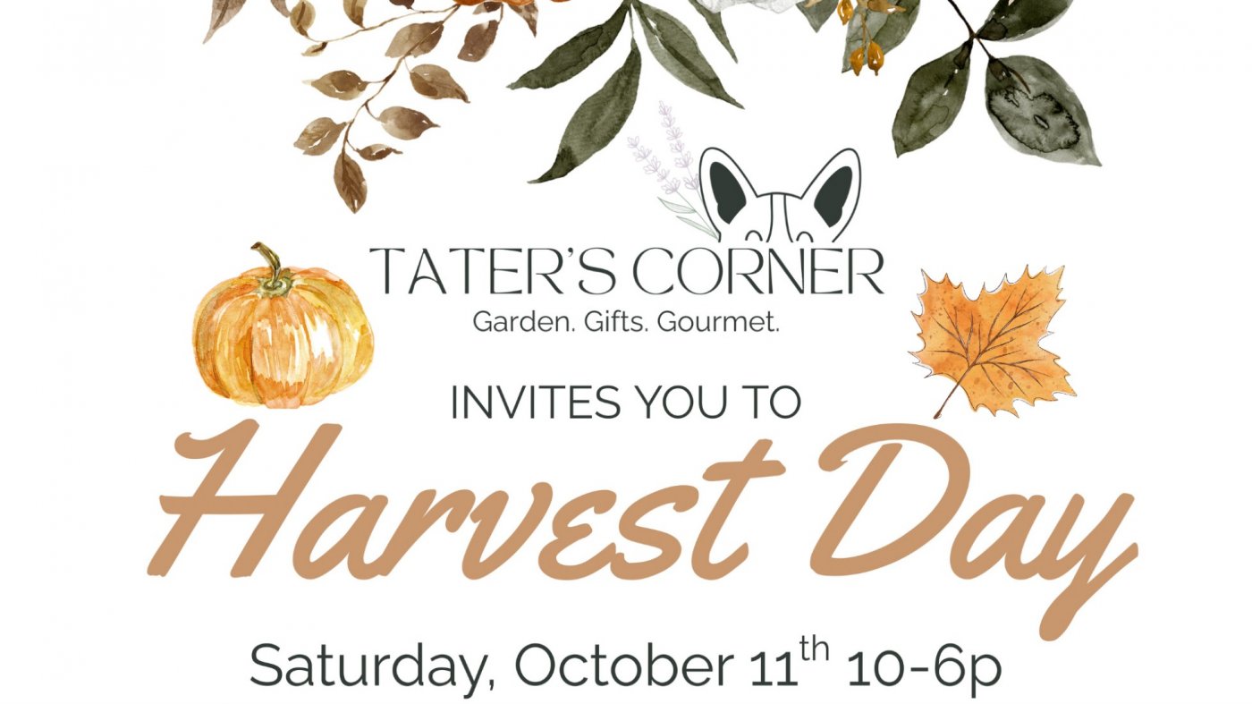Harvest Day at Tater's Corner