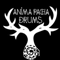 Anima Pacha Drums