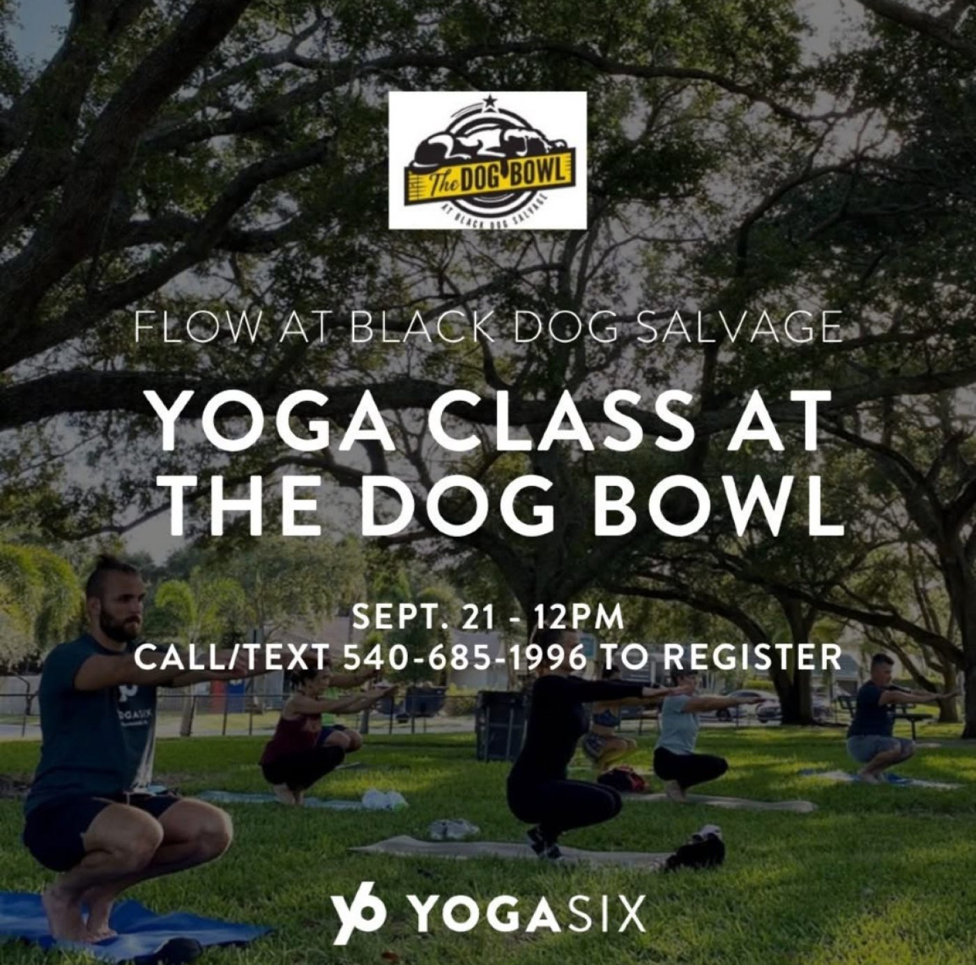 YogaSix Roanoke at Black Dog Salvage\u2019s Market