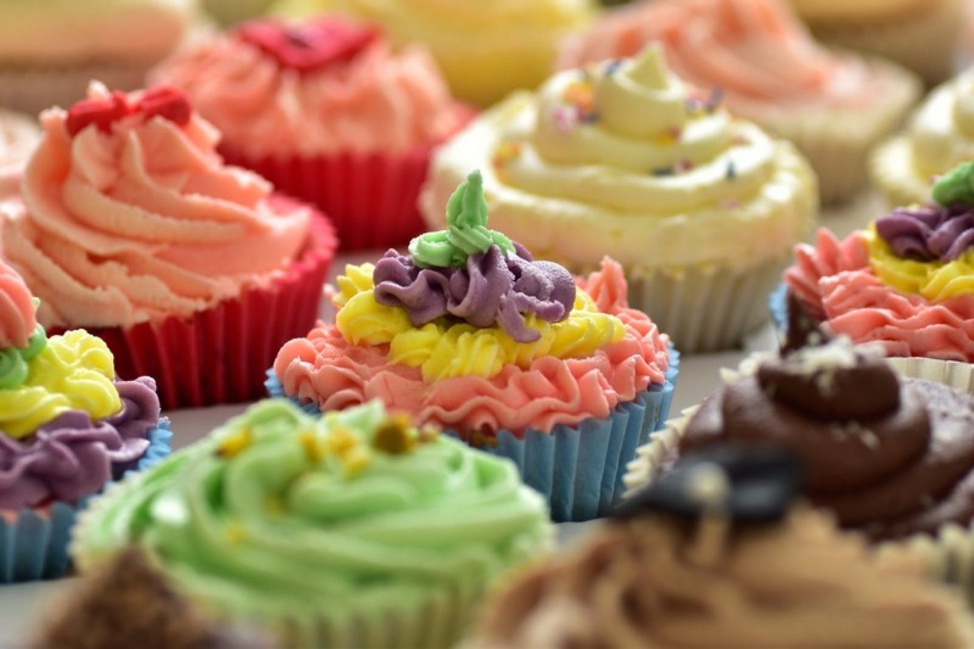 Birmingham Vegan Festival