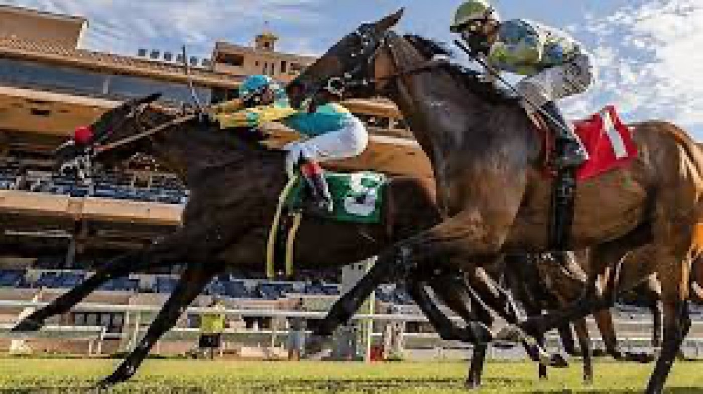 Florida Cup Day