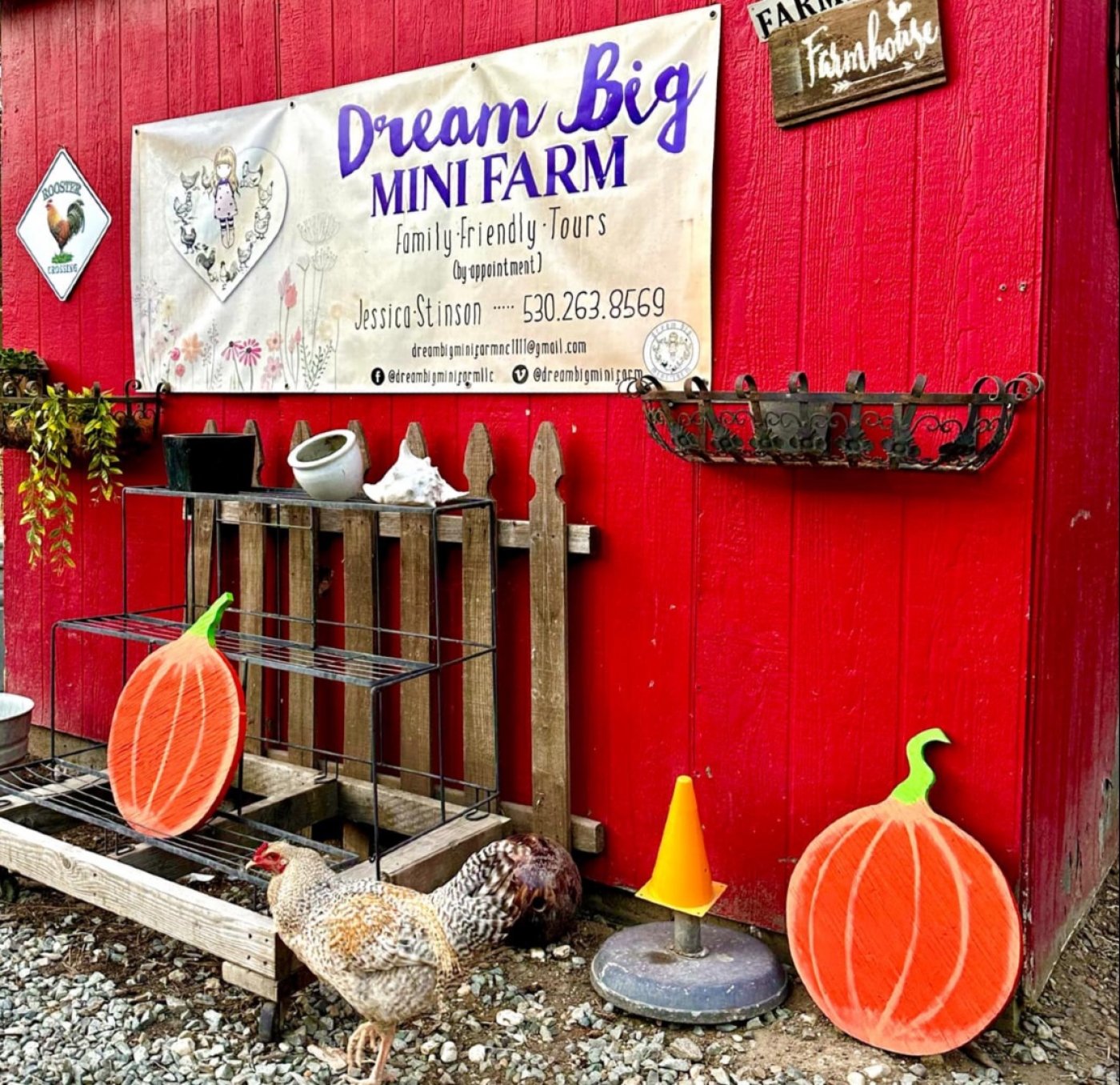 2nd annual fall festival