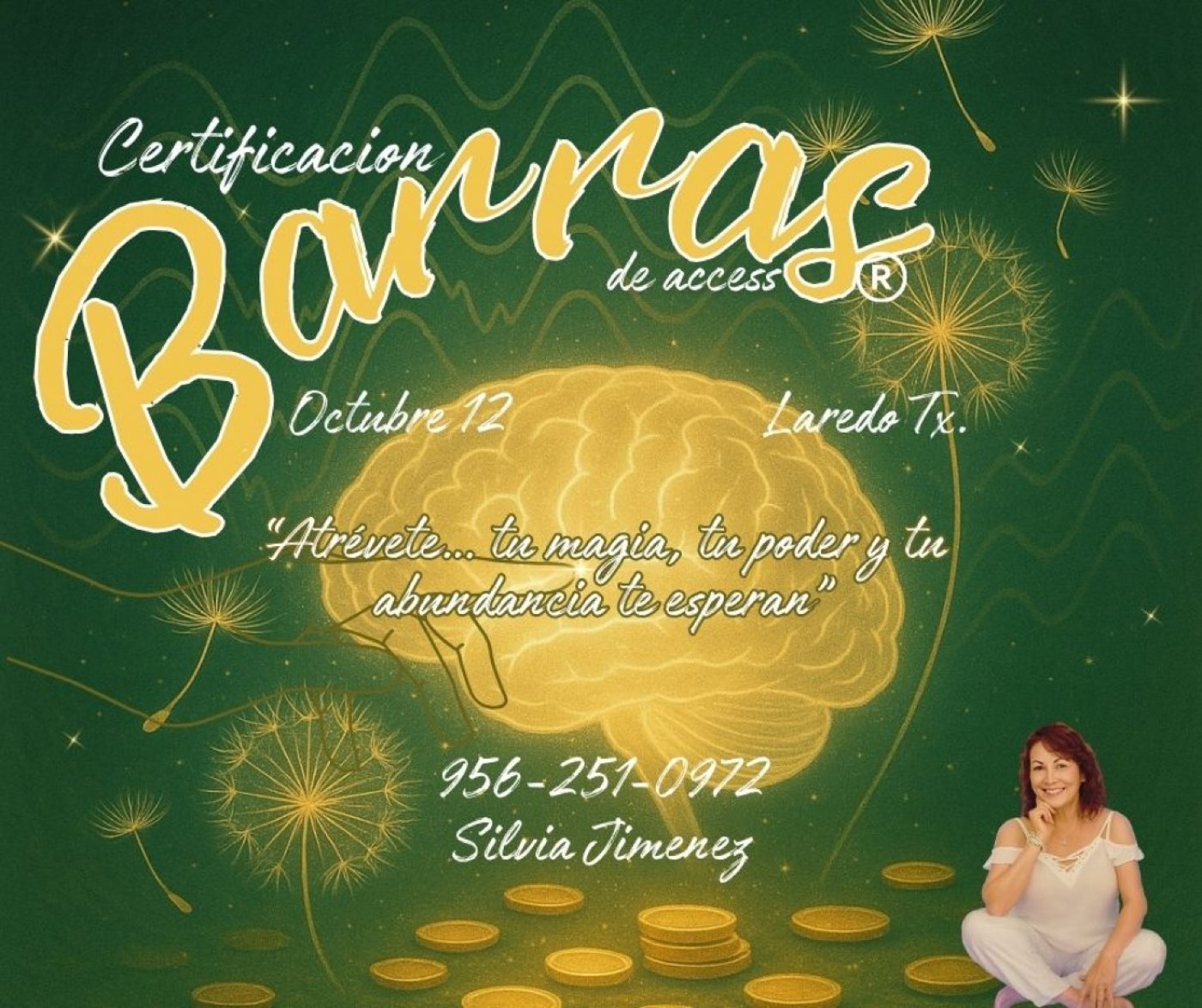 BARRAS DE ACCESS Certificacion Internacional