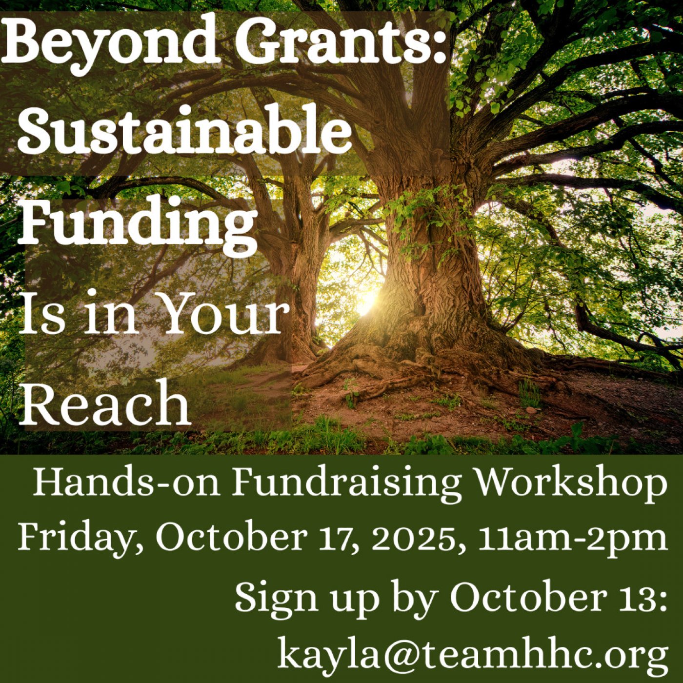 Beyond Grants: Sustainable Funding Is in Your Reach