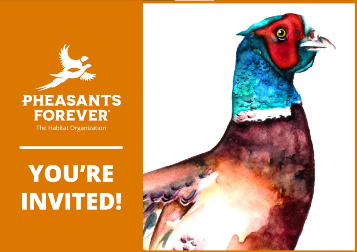 Golden Triangle Pheasants Forever Annual Banquet