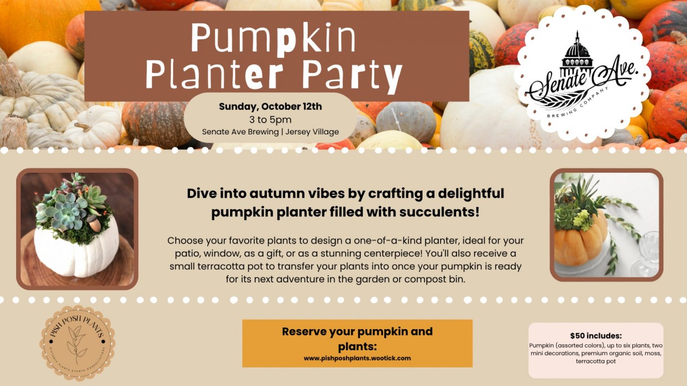 Create a Pumpkin Planter!