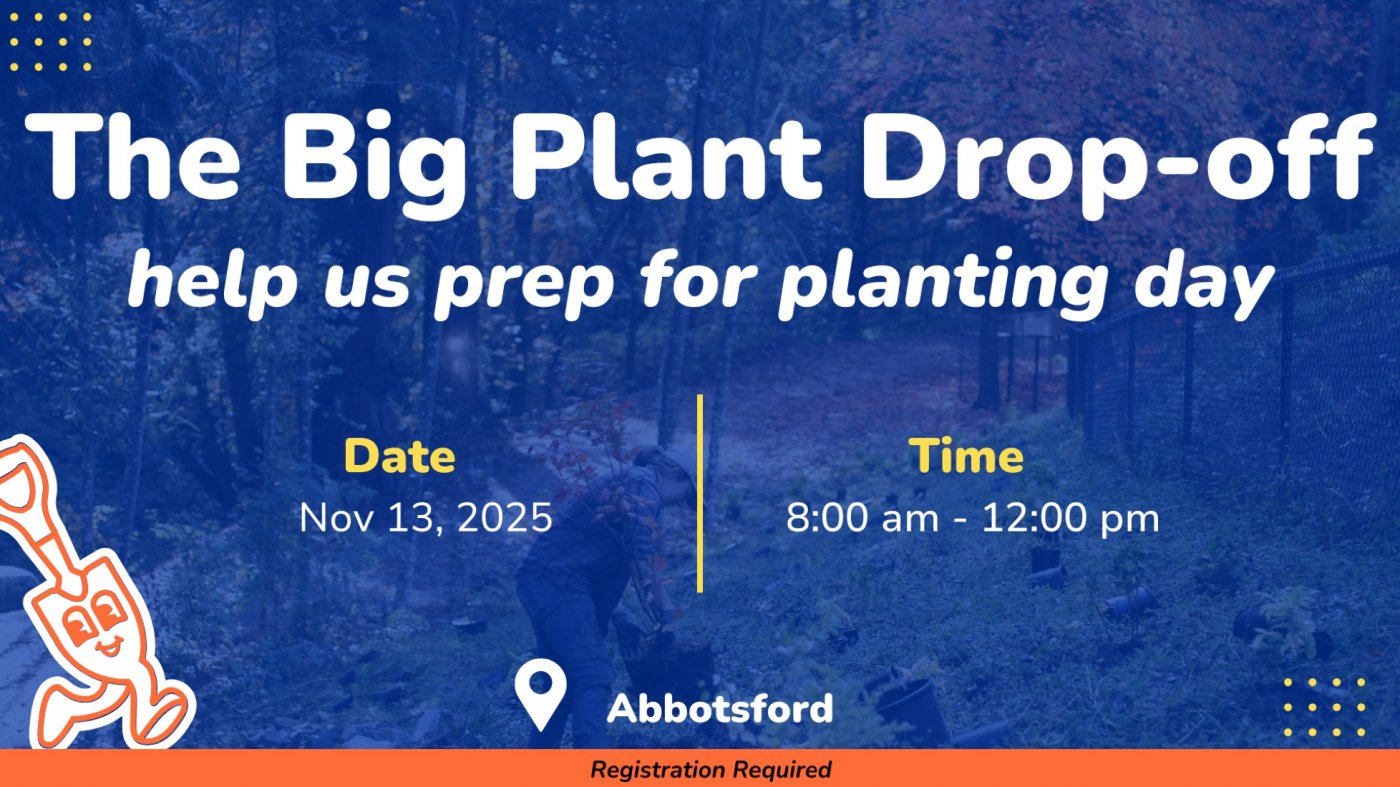 The Big Plant Drop-off