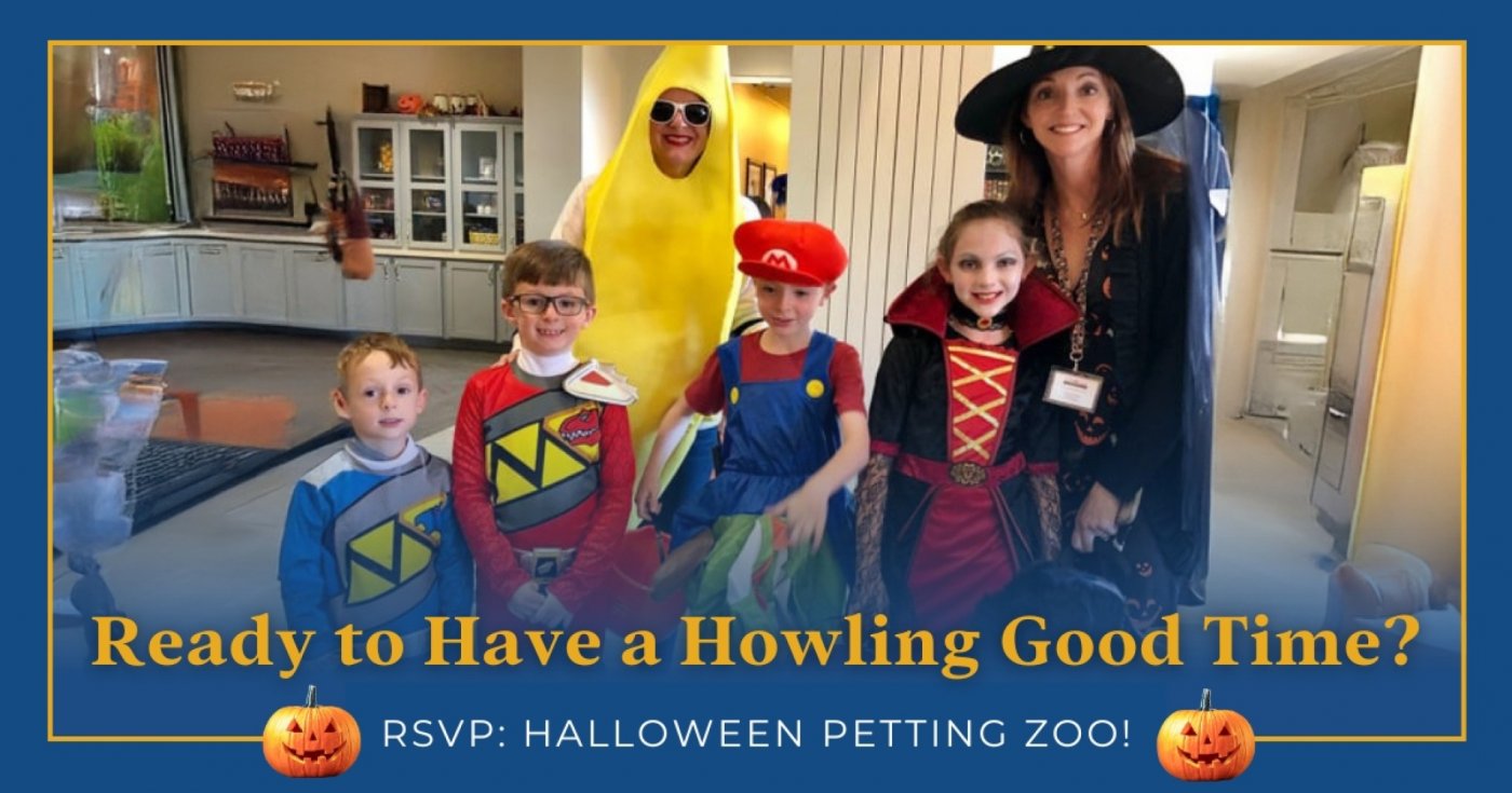 Halloween Petting Zoo