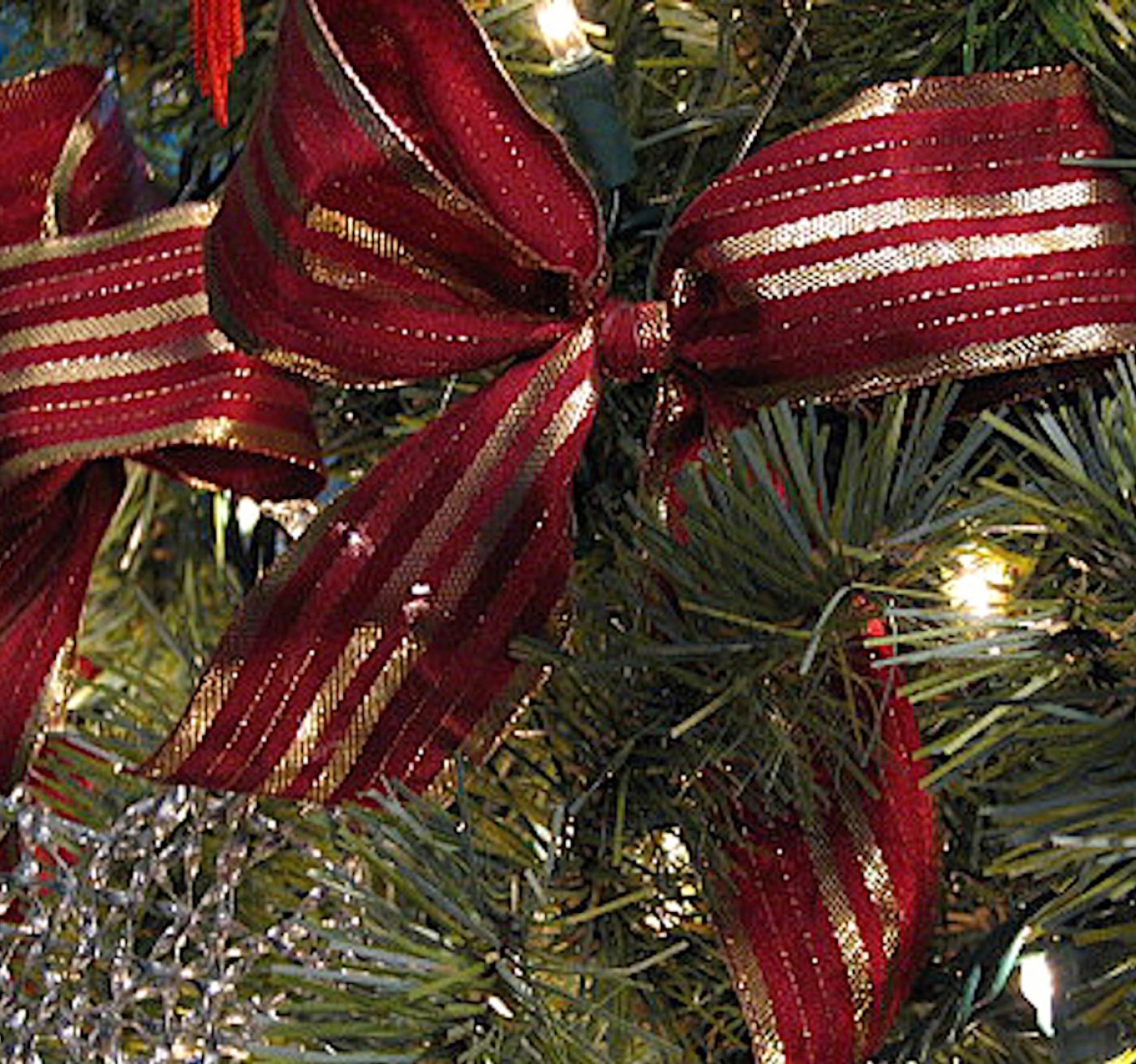Early Bird Christmas Shop