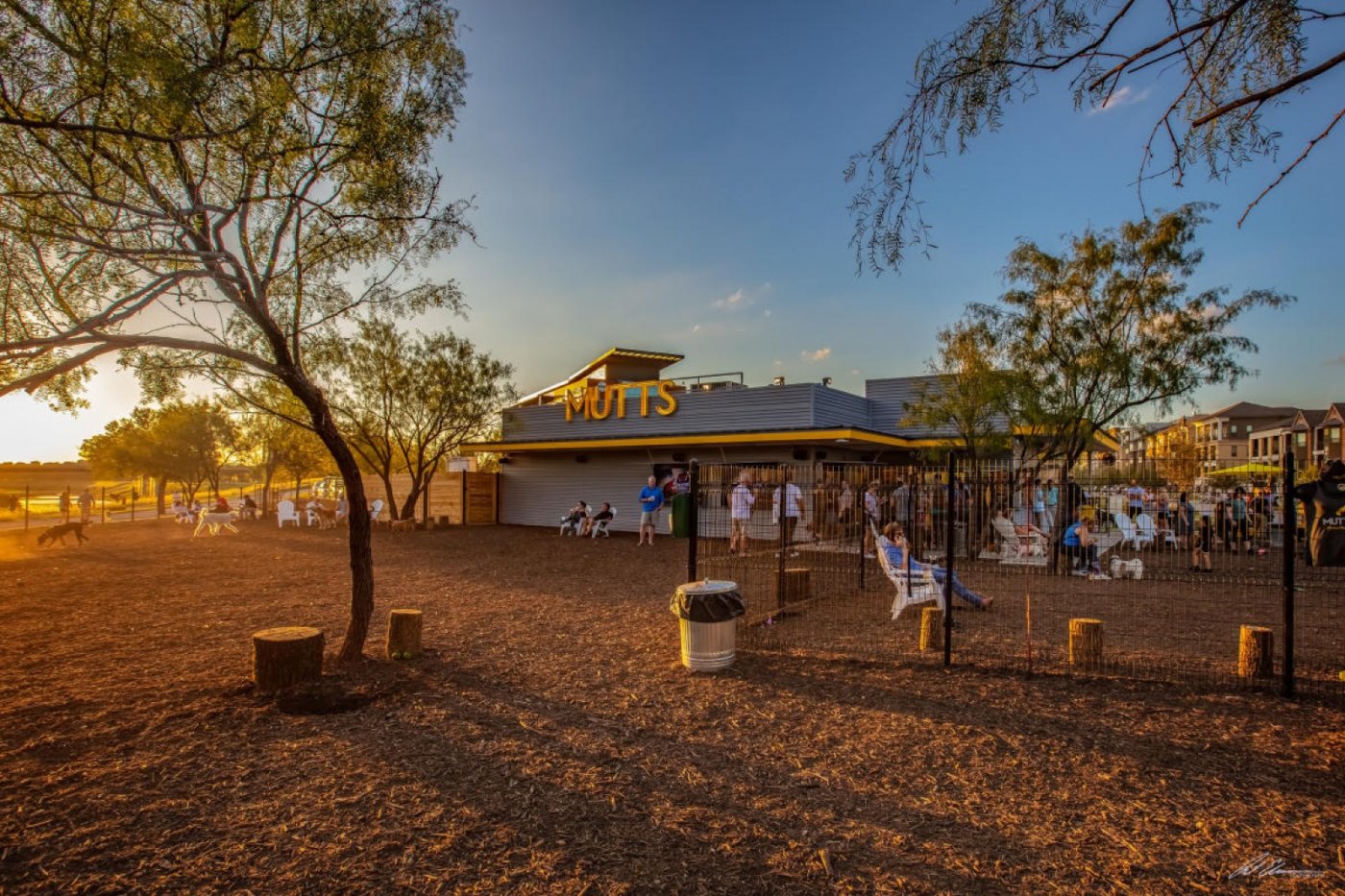 Yourgi Launch Event at Mutts Canine Cantina