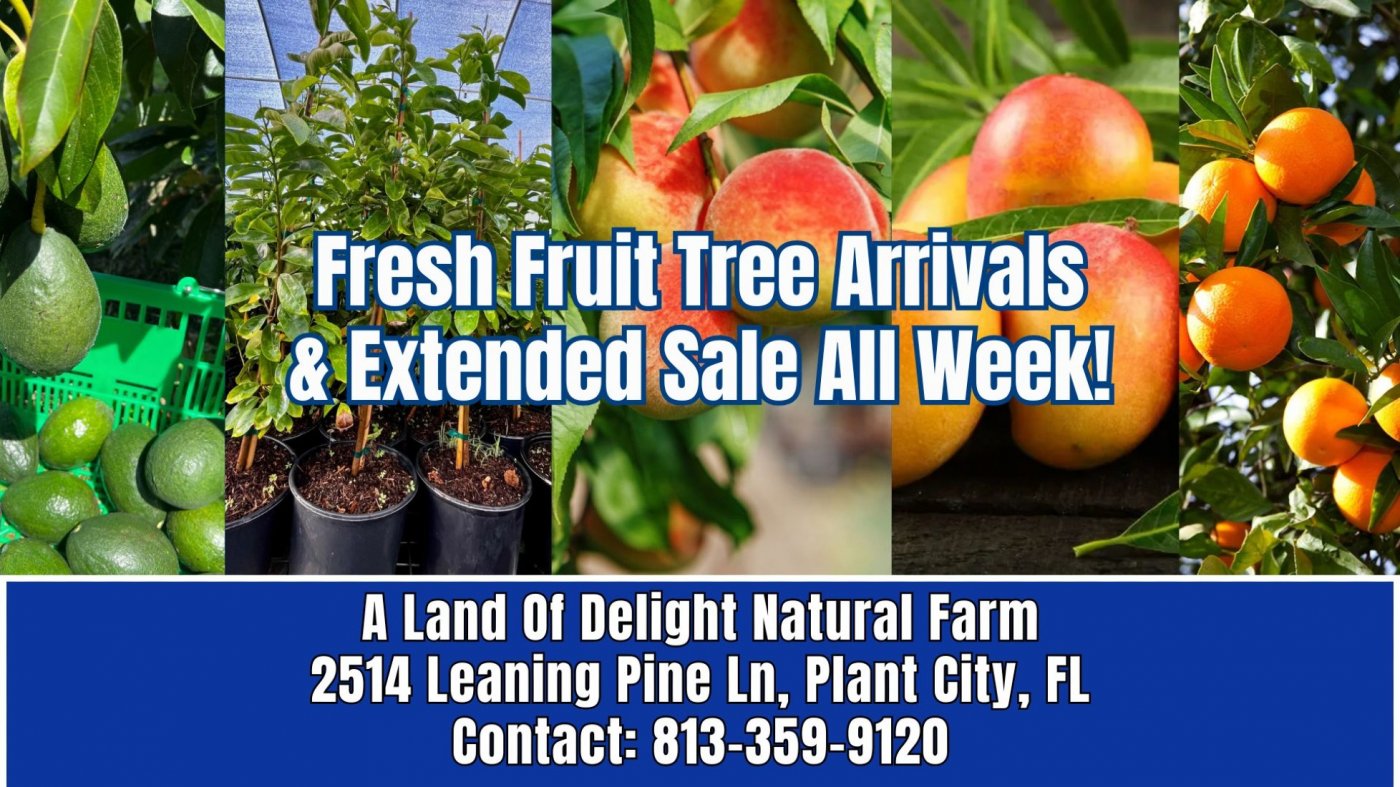 Central Florida's Local Biggest Fruit Tree Sale