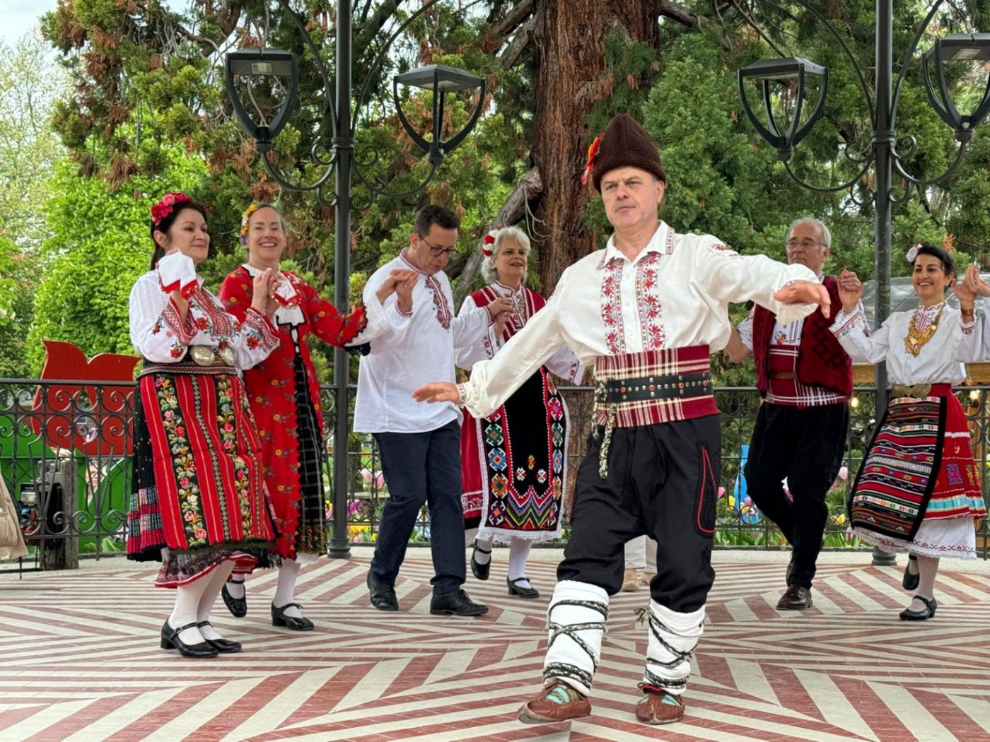 Bulgarian Ball Party