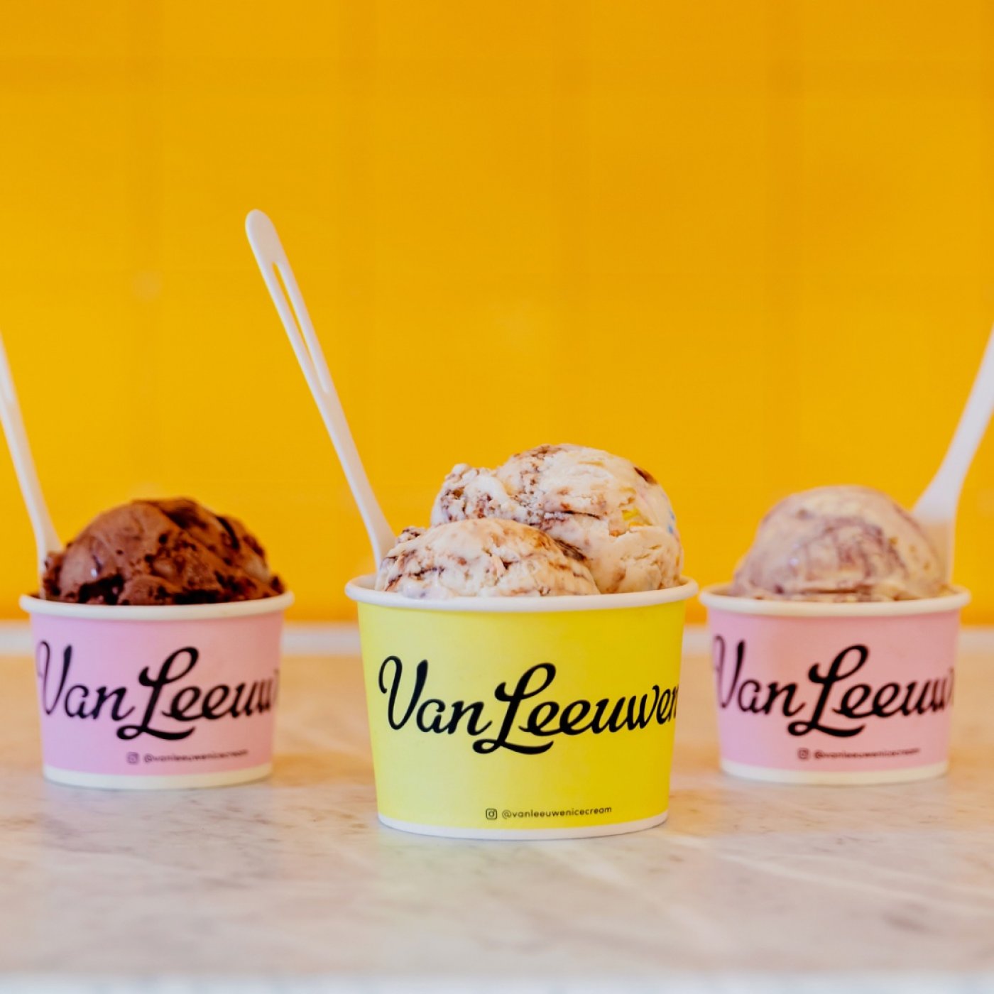Van Leeuwen Ice Cream Opens Its Palm Beach Gardens Scoop Shop