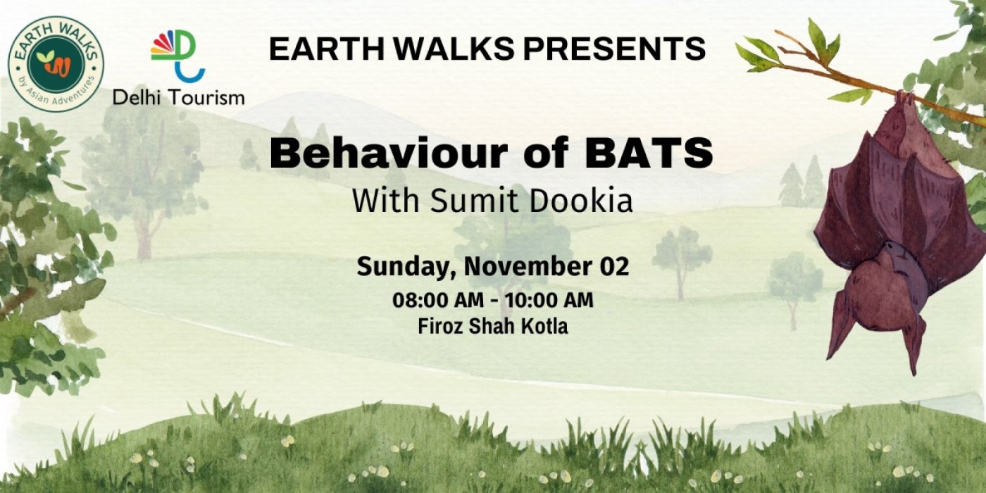 Behaviour of BATS (Earth Walks)