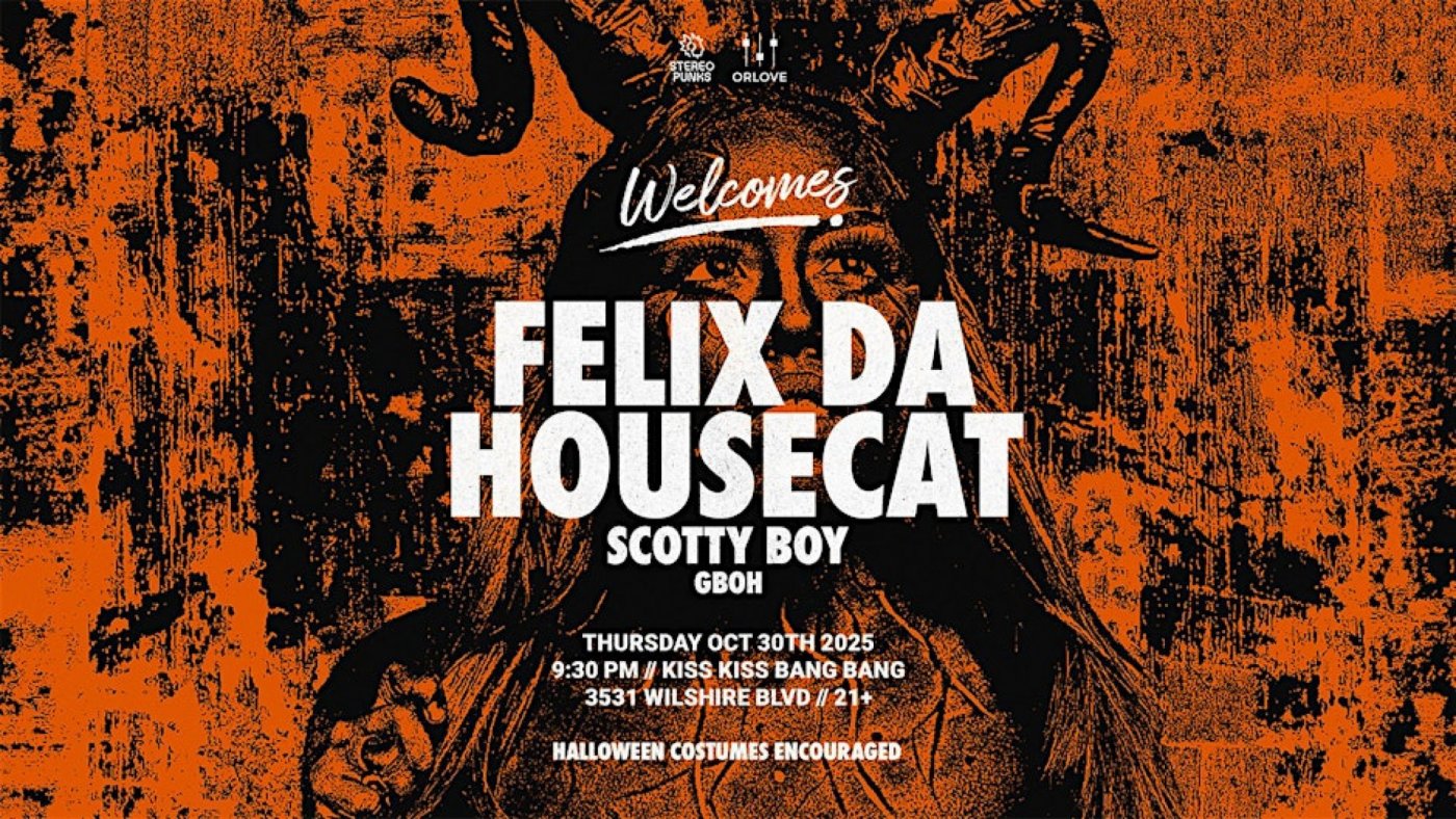 Felix Da Housecat in L.A.