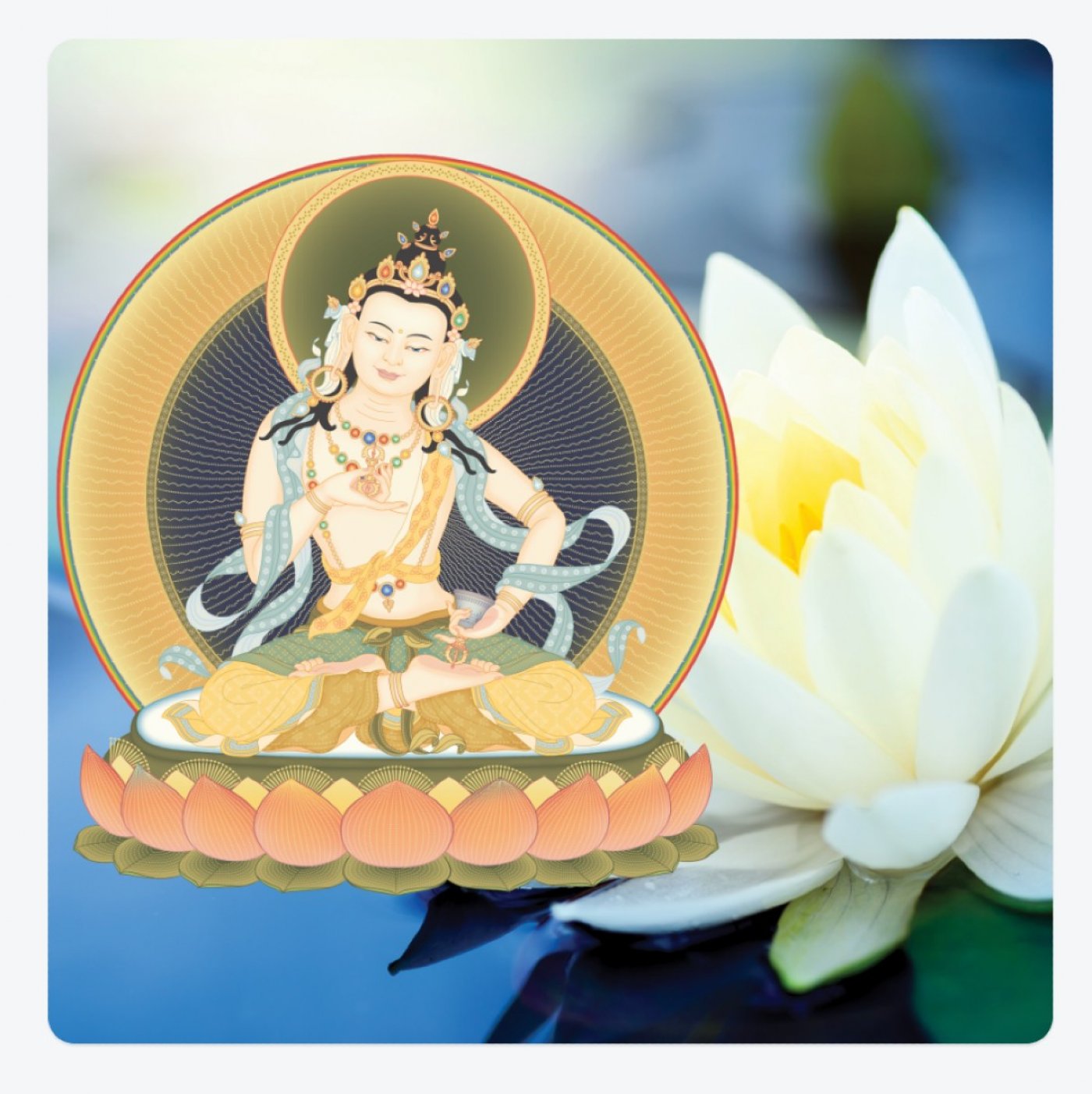 Detoxing the Mind Course and Guided Purification Retreat weekend