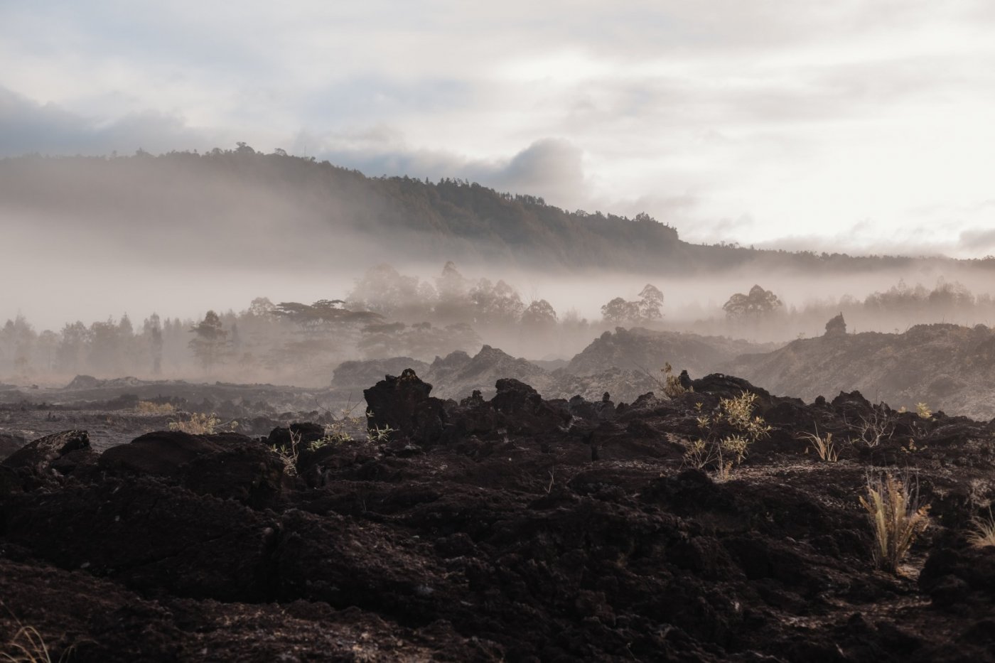 Elysium New Moon Cacao & Breathwork Journey for CALM & DIRECTION