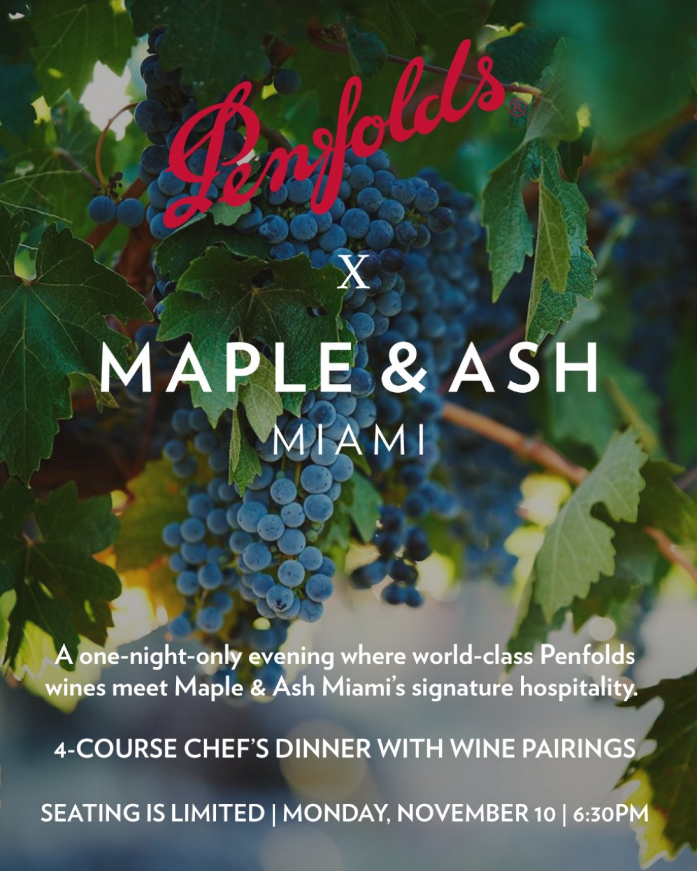 Maple & Ash Miami x  Penfolds Wine Dinner | November 10, 2025