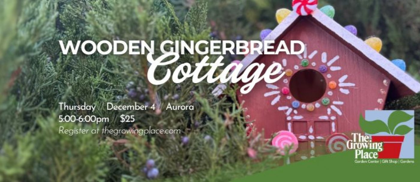 Wooden Gingerbread Cottage Workshop