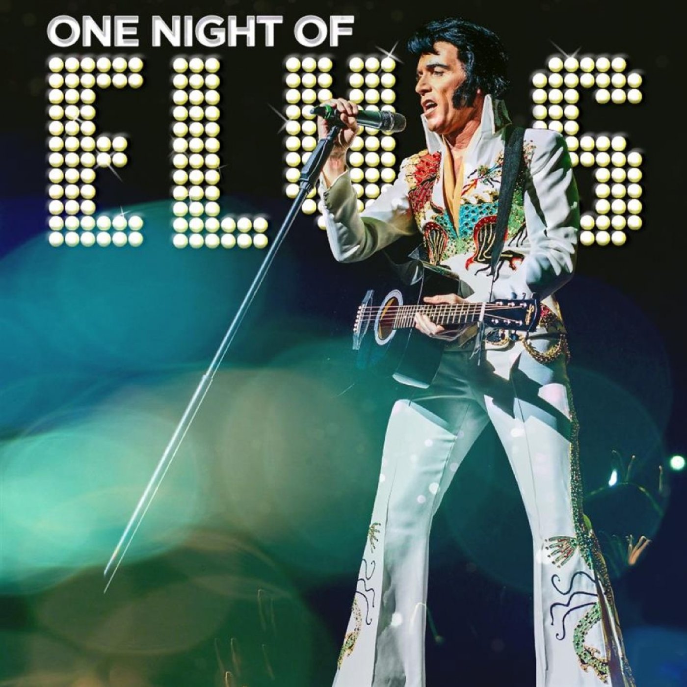One Night of Elvis