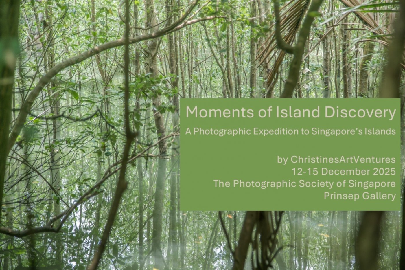 Moments of Island Discovery: A Photographic Journey across Singapore\u2019s Islands
