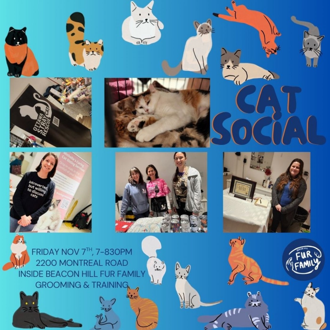 Cat Social Night!
