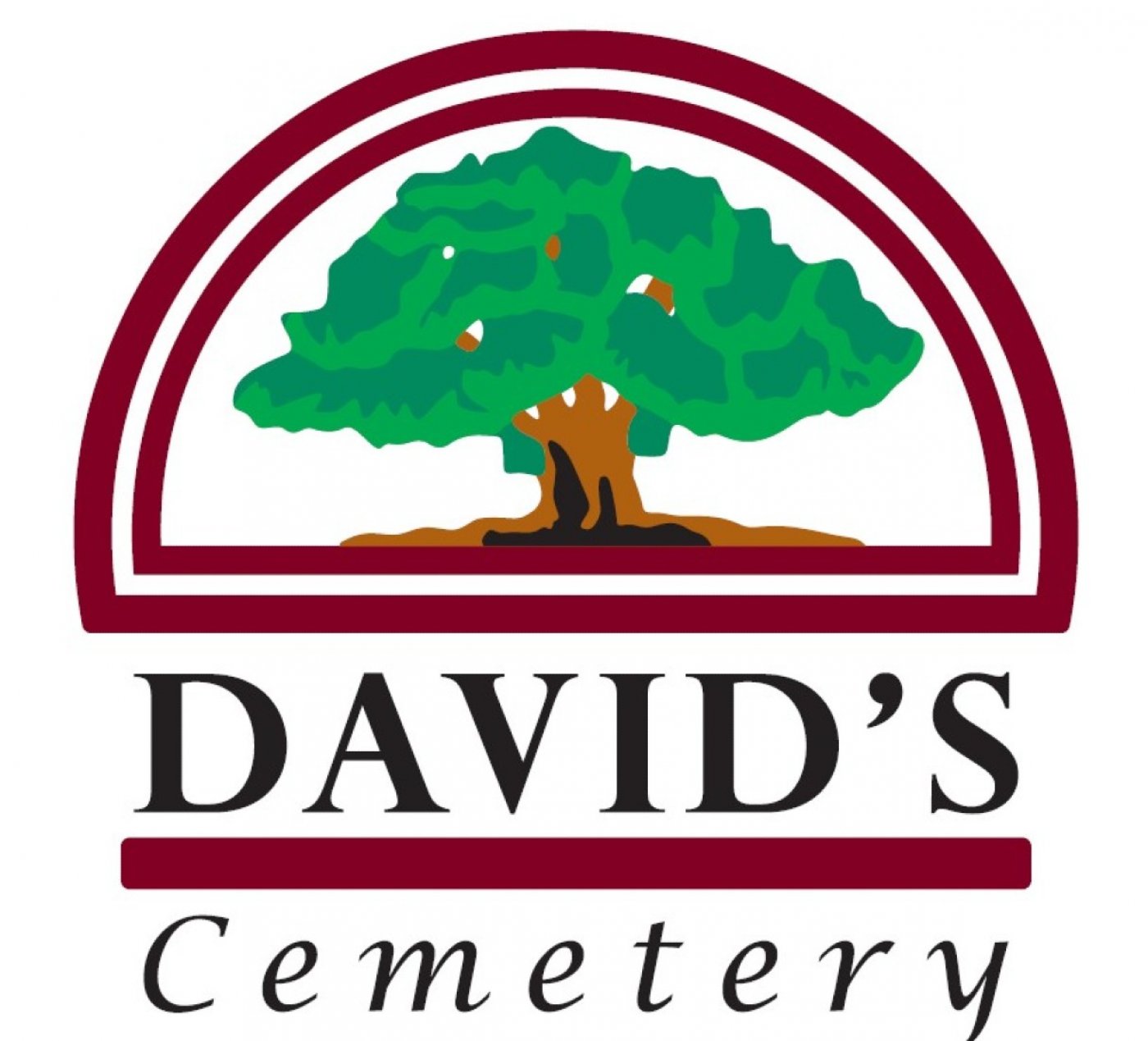 Christmas Eve Luminaries