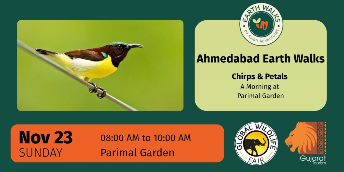 Chirps and Petals: A Morning at Parimal Garden