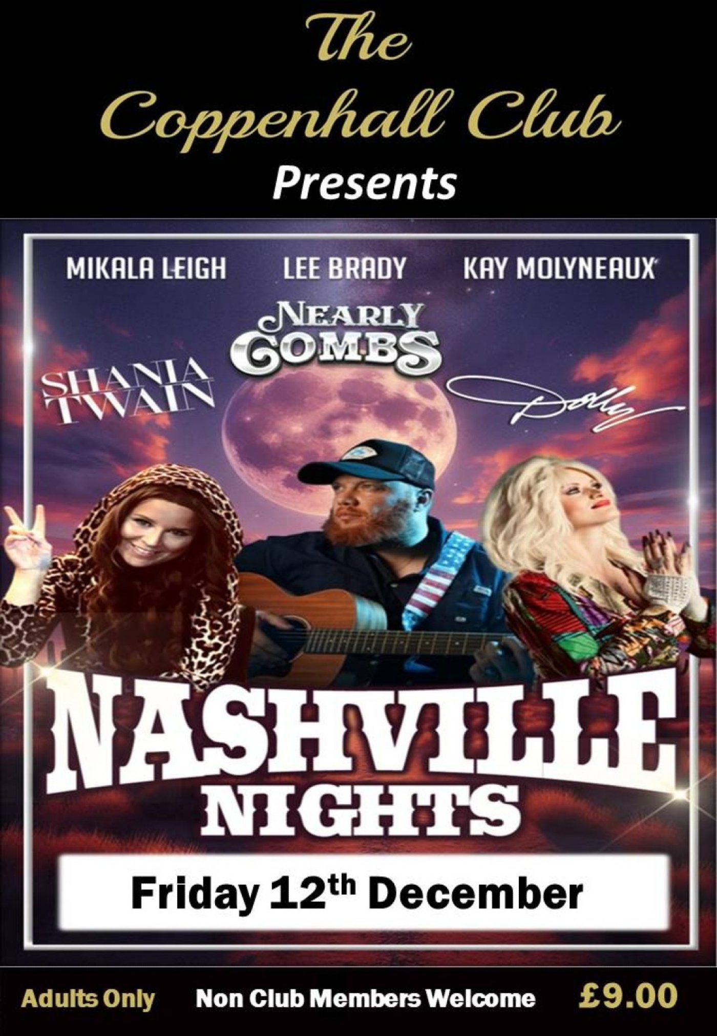 Nashville Nights - A Triple Tribute To Country