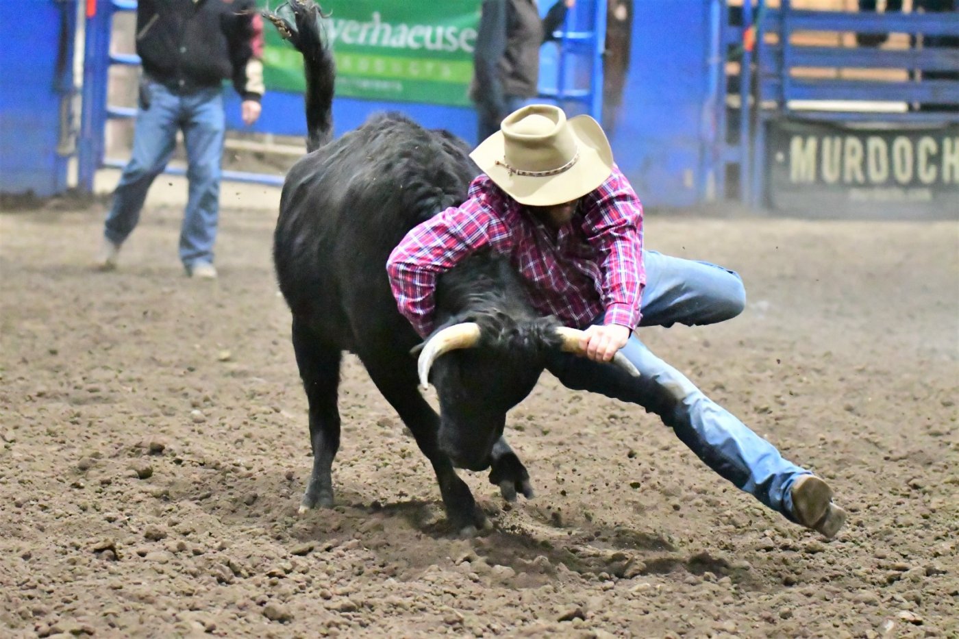 Brash Rodeo Winter Series