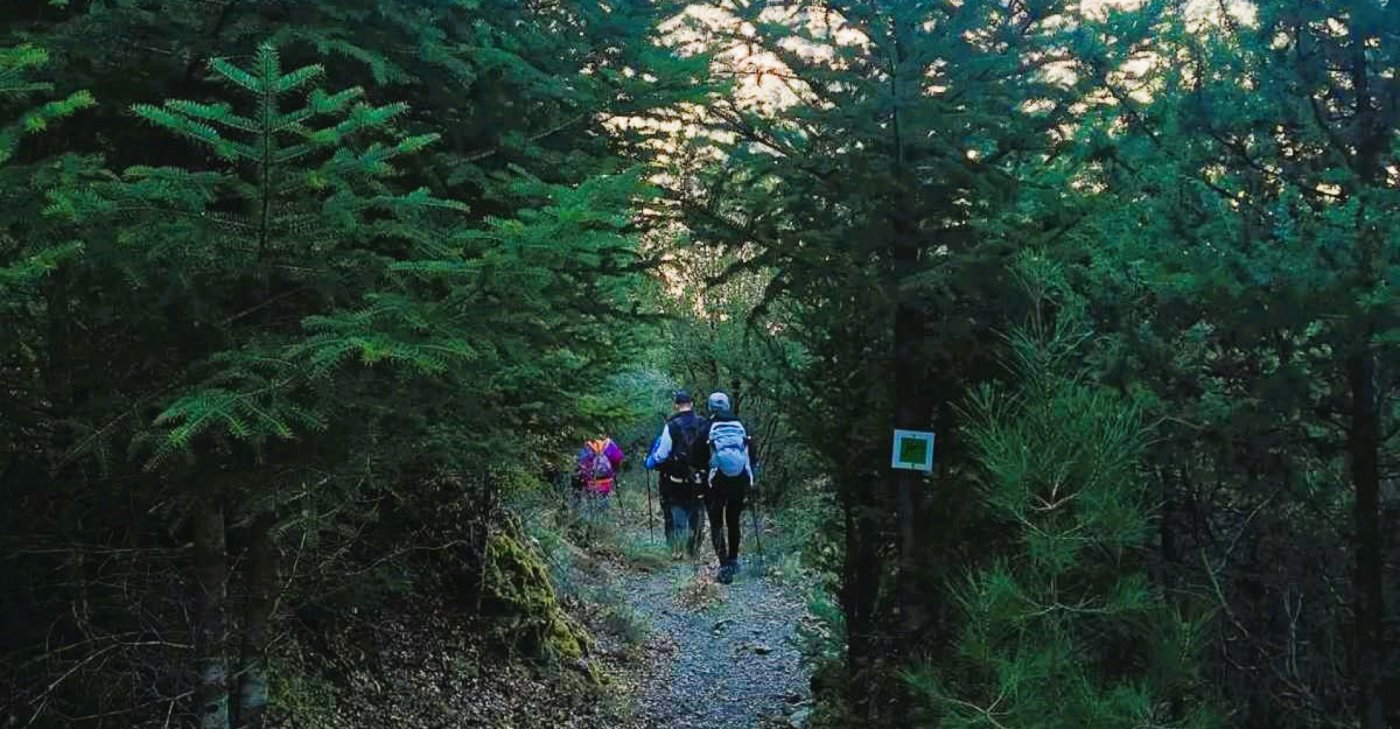 \ud83c\udfde\ufe0f \u039c\u03b1\u03af\u03bd\u03b1\u03bb\u03bf, \u039c\u03b1\u03b3\u03bf\u03cd\u03bb\u03b9\u03b1\u03bd\u03b1 \u2013 \u039d\u03c5\u03bc\u03c6\u03b1\u03c3\u03af\u03b1, \u03bc\u03bf\u03bd\u03bf\u03c0\u03ac\u03c4\u03b9 \u03a3\u03c6\u03c5\u03c1\u03af\u03b4\u03b1\u03c2.