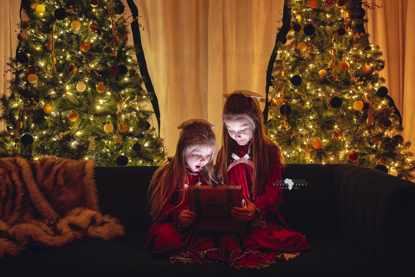 Cozy Christmas Greenhouse Sessions