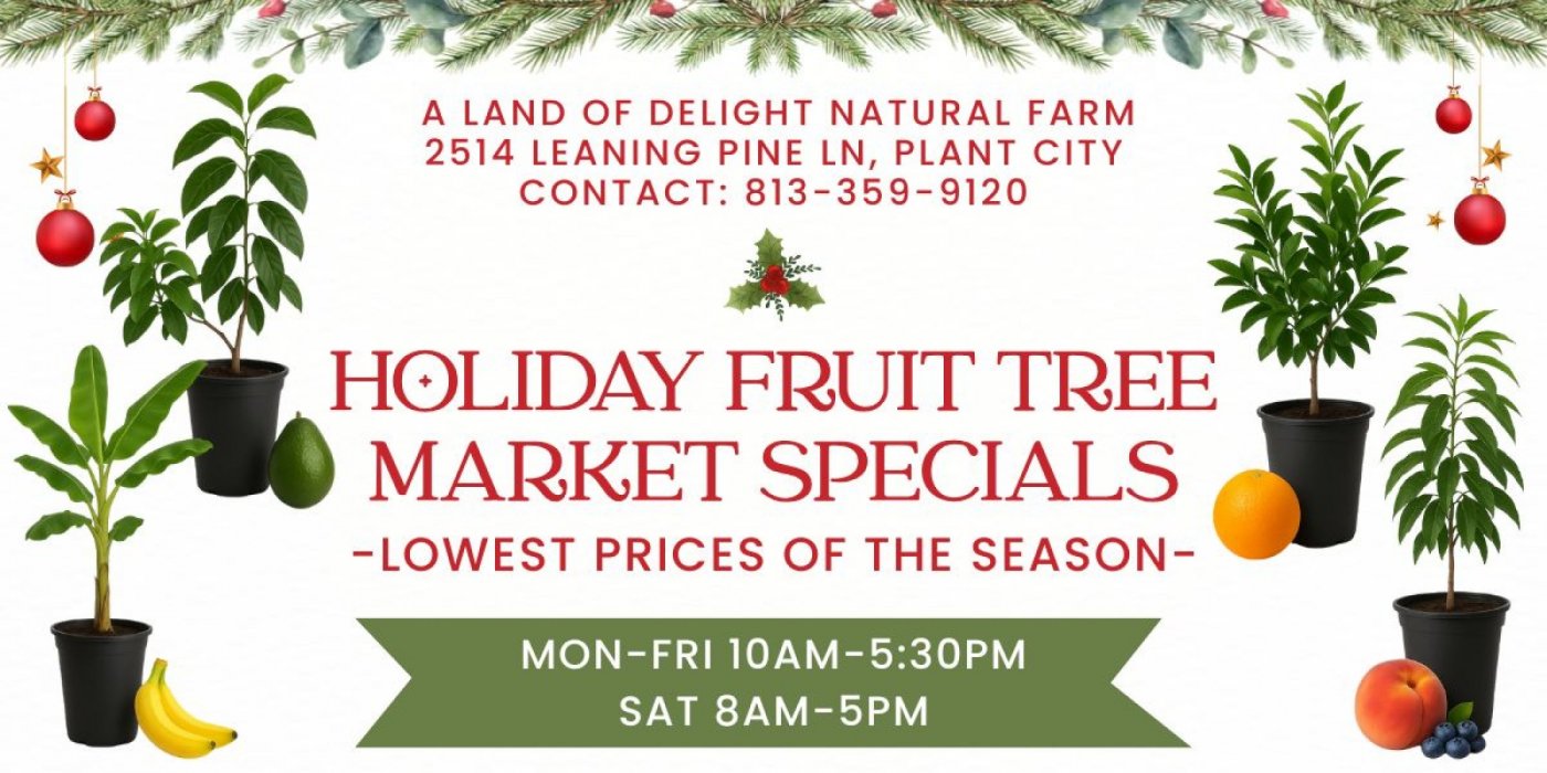 Central Florida\u2019s Holiday Fruit Tree Market Special (Lowest Prices Of The Season)