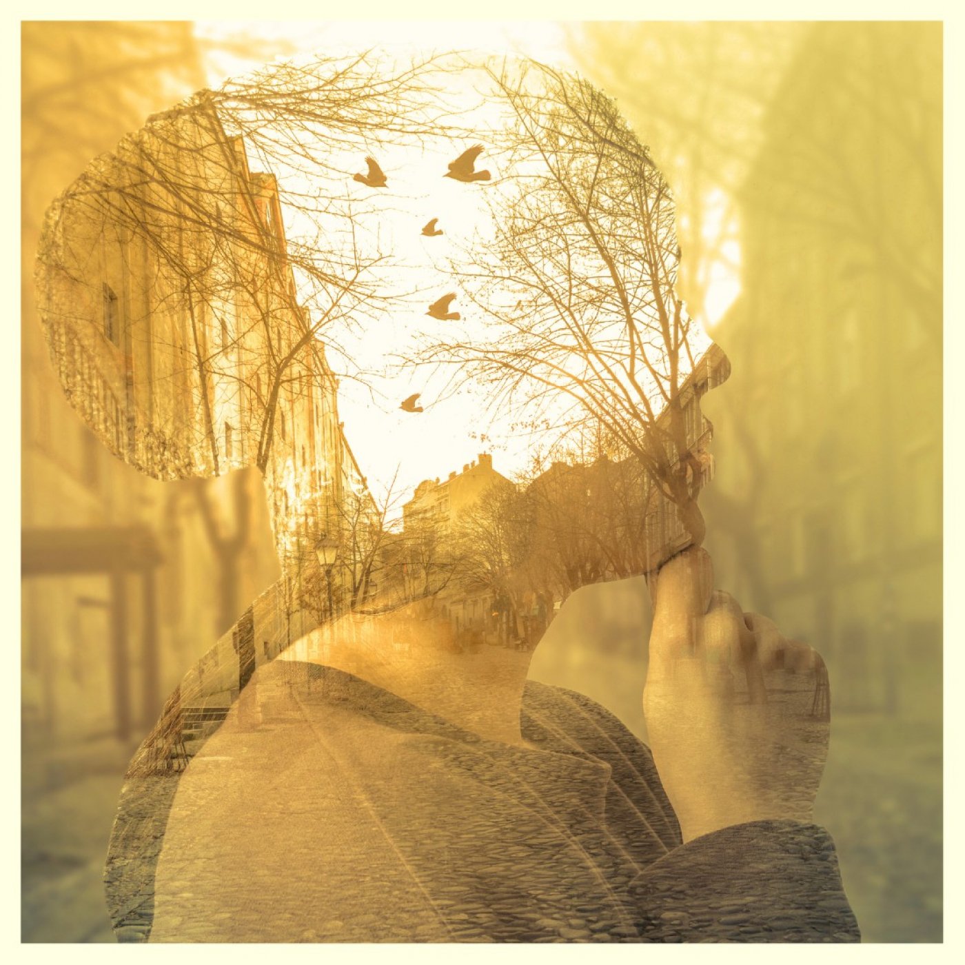 The Power of Imagination: A creative writing workshop for adults 