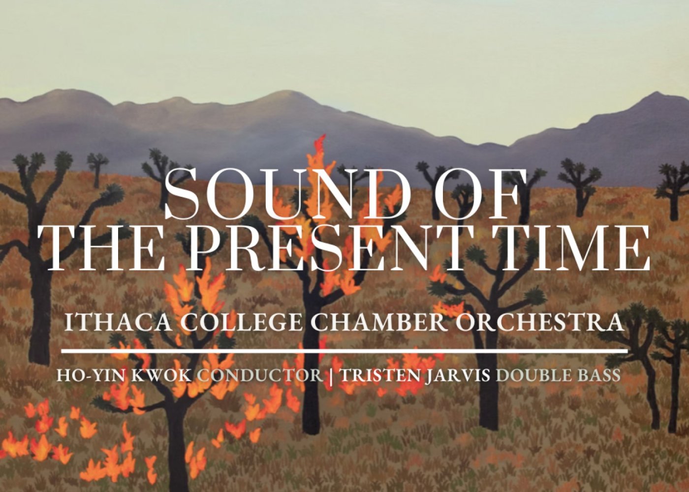 Ithaca College Chamber Orchestra