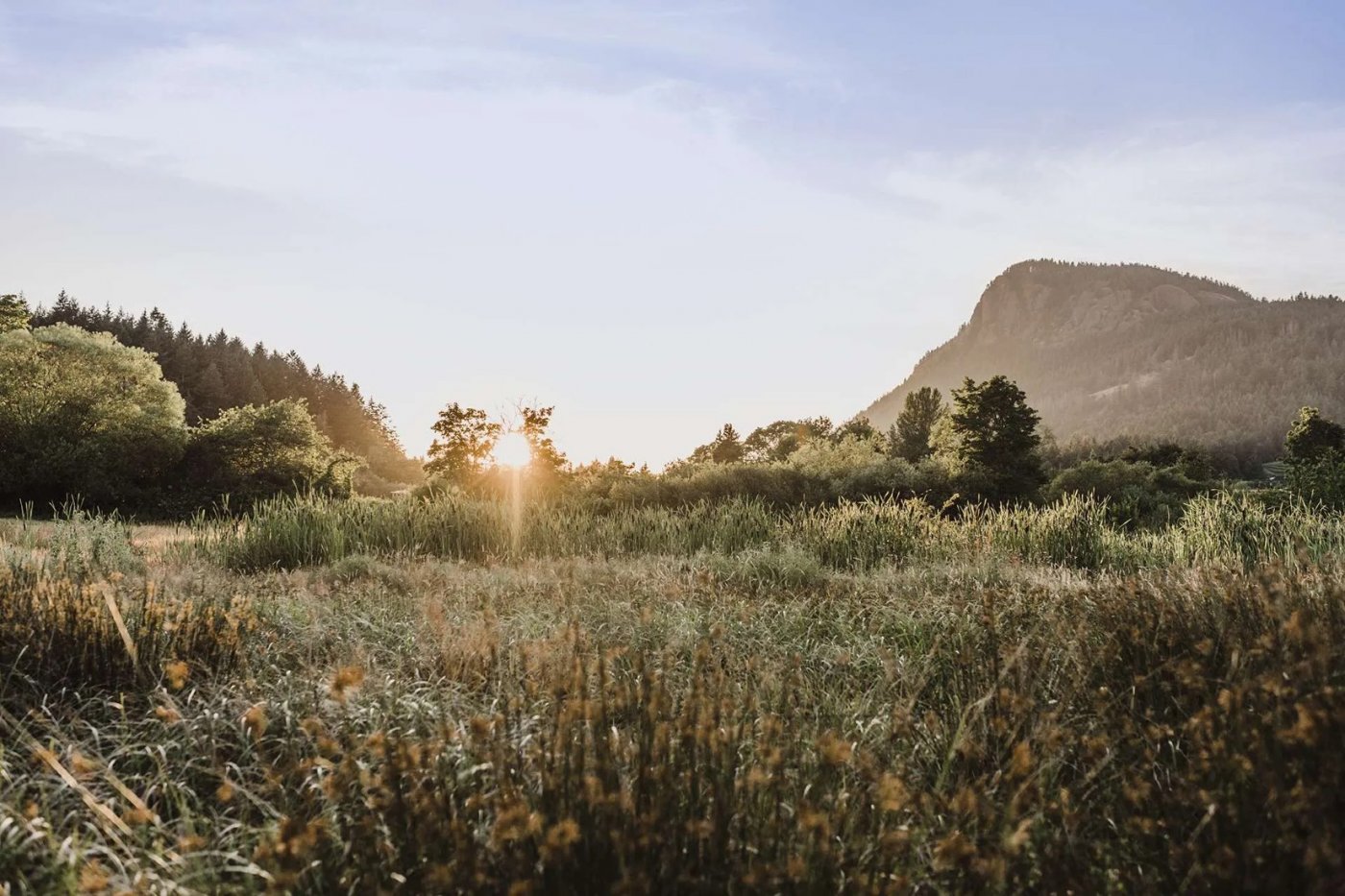 Movie Screening - Conservation Burial Ottawa