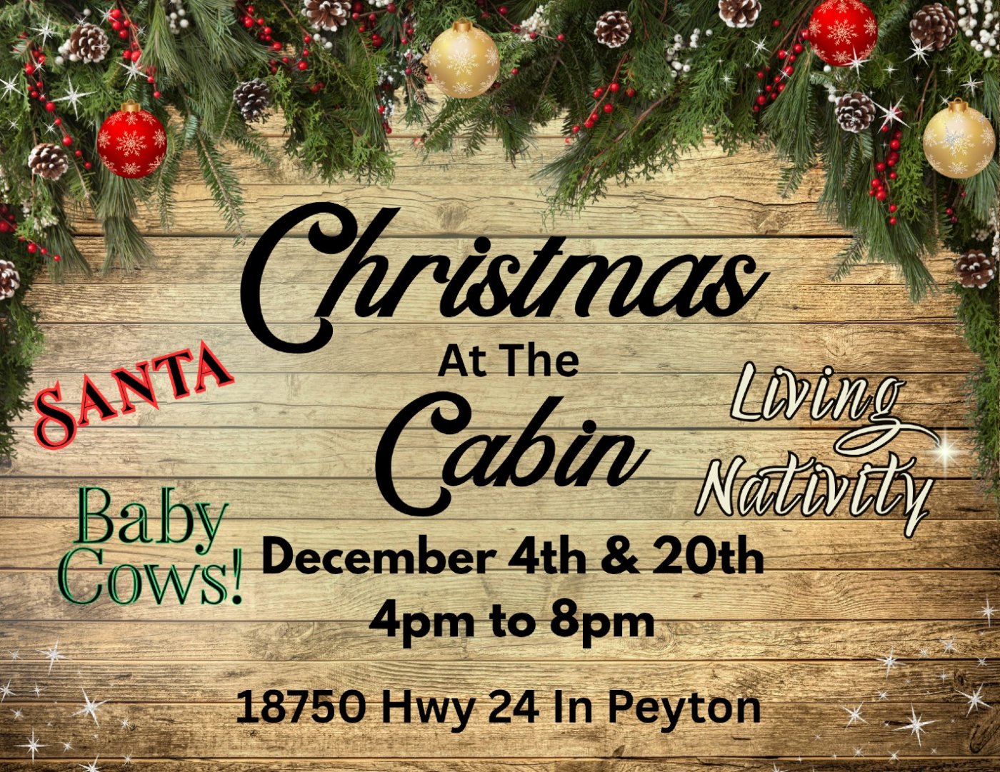 Christmas at the Cabin