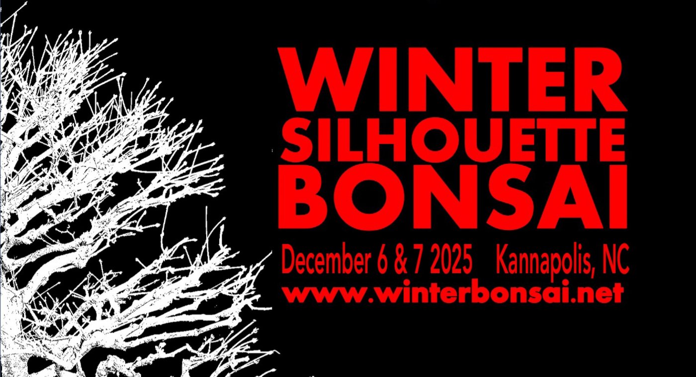 Winter Silhouette Bonsai Show