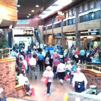 Crystal Cove Int., Inc.